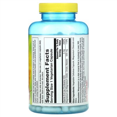 Nature's Life, Magnesium Plus Vitamin B-6, 500 mg, 180 Vegetarian Capsules