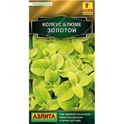 1541A Колеус блюме Золотой 10 шт