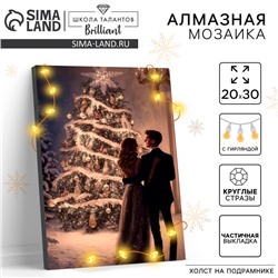 УЦЕНКА Алмазная вышивка на раме с частичным заполнением "Новогодняя ночь" 20*30, с гирляндой 96421