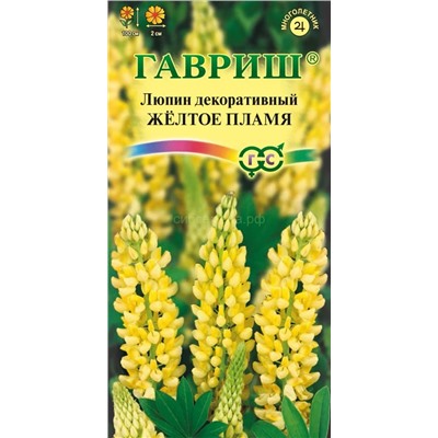 Люпин Рассела Желтое пламя (Гавр)