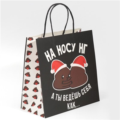 Пакет подарочный новогодний «На носу НГ», 22×22×11 см
