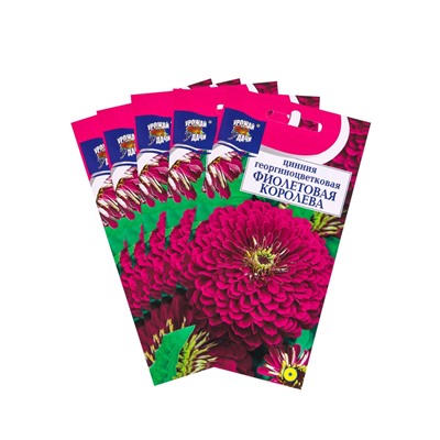 Набор семян Цинния георгин. "Фиолетовая королева", 5 шт.