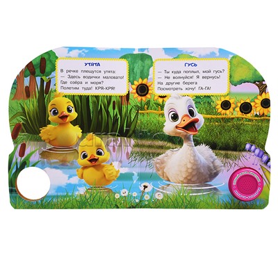 Домашние животные. Дружинина (1 кн. 3 пес.)