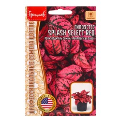 Семена цветов Гипоэстес Сплэш Селект Красный (Splash Select Red) (PanAmerican Seed) 4 шт.  12.29 г.