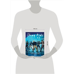 Эксмо "Stray Kids и я. Иллюстрированный фанбук с фотографиями группы"