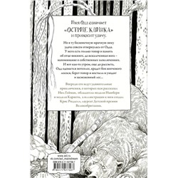 АСТ Нил Гейман "Одд и Ледяные великаны с иллюстрациями Криса Ридделла"