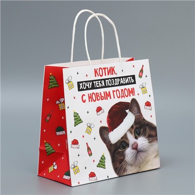 Пакет подарочный новогодний крафтовый «Котик», 22×22×11 см