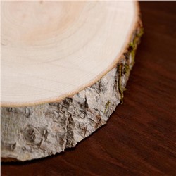 Спил осины, косой, слэб для декора, 35×16±2 см