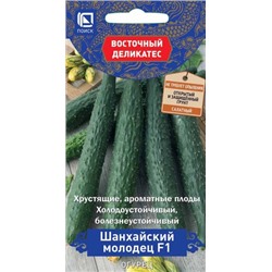 Огурец Шанхайский Молодец F1 (Код: 72471)