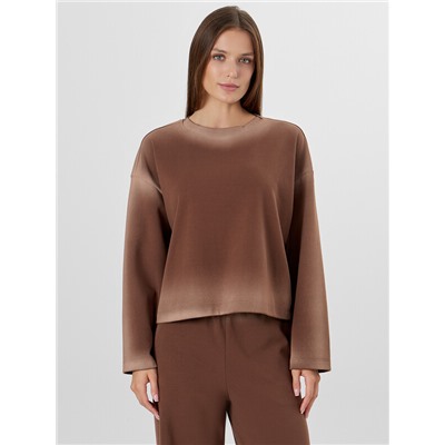 КОМПЛЕКТ ЖЕНСКИЙ (СВИТШОТ, БРЮКИ) 192016