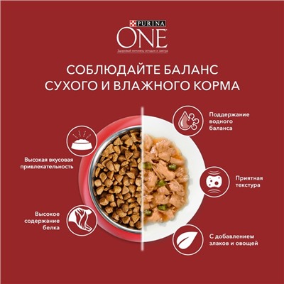 Сухой корм Purina One medium/maxi для взрослых собак ягненок/рис, 10 кг