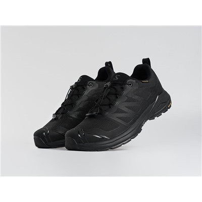 Кроссовки Salomon X ADVENTURE GTX