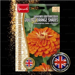 Цинния Джульетта Оранж шейдс - Juilette Orange Shades (Редкие)