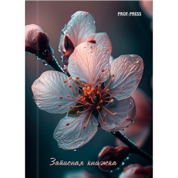 Записная книжка А7 64л клетка "КРАСИВЫЙ ЦВЕТОК" 64-1690 Проф-Пресс