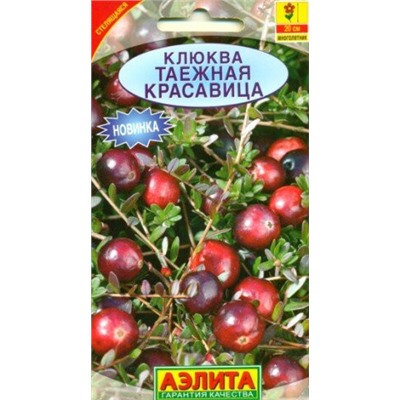 Клюква Таежная Красавица