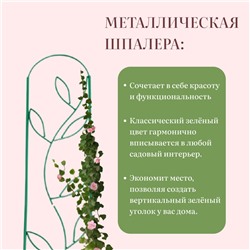 Шпалера, 173×37×1 см, металл, зелёная, «Декоративная. Стебель»
