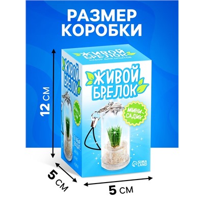 Набор для опыта «Живой брелок», мини-сад, выращивание травы