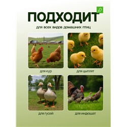 Кормушка бункерная для домашней птицы на 12 кг, пластик