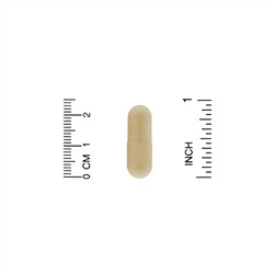 California Gold Nutrition, Fungiology, трутовик разноцветный (различные органы), 90 капсул Plantcap