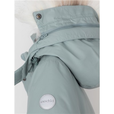 CROCKID Куртка ВК 38112/6 ГР