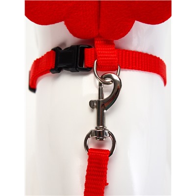 Комплект амуниции «Ангел», размер XS, шлейка 19-26 см, поводок 120×1 см, красный