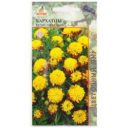 Бархатцы Петит Гармония (Код: 78777)