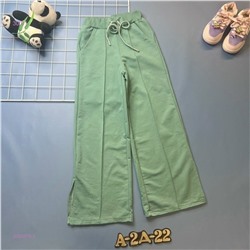 штаны 2059379-3