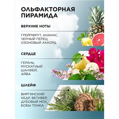 Туалетная вода для мужчин Vent d'Aventures Virage