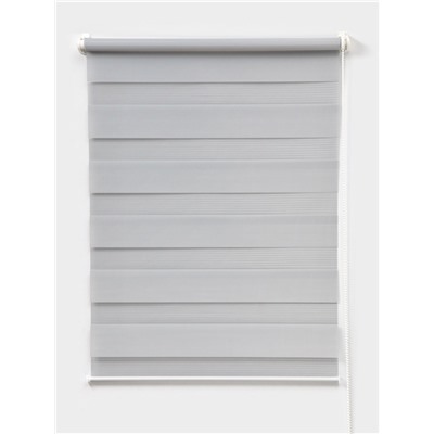 Штора рулонная 60×160 см «День и Ночь», по полотну 56×160 см, цвет стальной