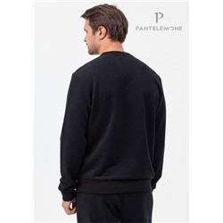 MT-167 (Свитшот мужской, PanteLemone )