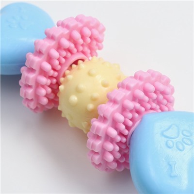 Игрушка жевательная Пижон Premium на верёвке, 5 элементов, термопластичная резина, МИКС