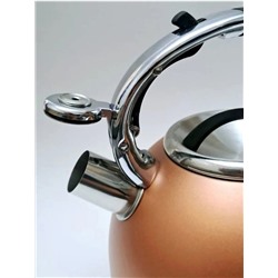 Чайник #22980315