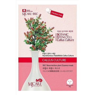 MIJIN Маска тканевая с экстрактом миротамнуса / MJ Care BSC Resurrection Plant Essence Mask, 25 г KRISTALLER, 1110065
