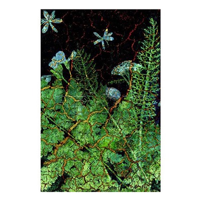 Книги для записей А5 "Тайны леса" (145х210), 100л. 7БЦ, ламинация soft touch.