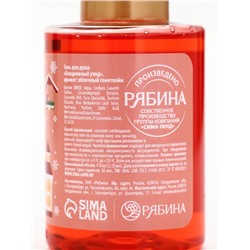 Подарочный набор новогодний в санях: 2 геля для душа, соль для ванны и мочалка, URAL LAB