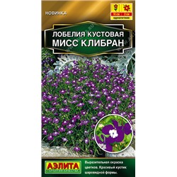 Лобелия Мисс Клибран кустовая (Код: 93582)