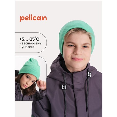 PELICAN Шапка