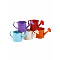 Кашпо «Лейка», 150 мл, металл, МИКС