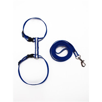 Комплект для кошек, шлейка 21-35 см, ширина 1 см, поводок 120 см, светоотражающий, синий