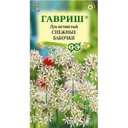 Лук ветвистый Снежные бабочки (Код: 92908)