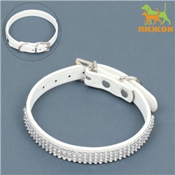 Ошейник со стразами в 4 ряда и стразы на пряжке, 38×1.5 см, ОШ 26-33, белый