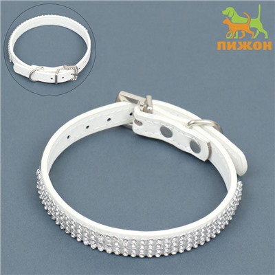 Ошейник со стразами в 4 ряда и стразы на пряжке, 38×1.5 см, ОШ 26-33, белый