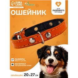 Ошейник, 30.5×1.2 см, ОШ 20-27 см, однослойный, неукрашенный, на фетре, кожа, оранжевый