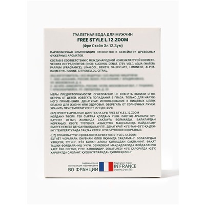 Туалетная вода мужская Free Style L.12.ZOOM, 100 мл