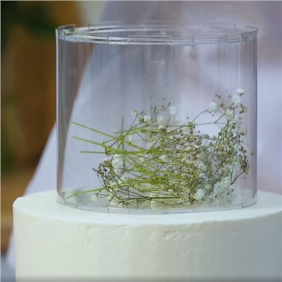 Фальшярус для торта, цилиндр, d=20 см, h=12 см, прозрачный