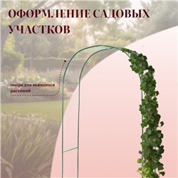 Арка садовая, 230×125×50 см, для вьющихся растений, металлическая, зелёная, «Сетка», Greengo