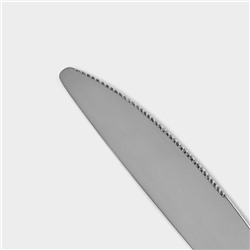 Нож столовый «Тайфун», длина 22.5 см, нержавеющая сталь, серебристый