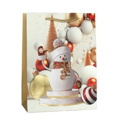 Пакет подарочный 18х24х8,5 / 10114-S /уп 12/720/ микс Новый год
