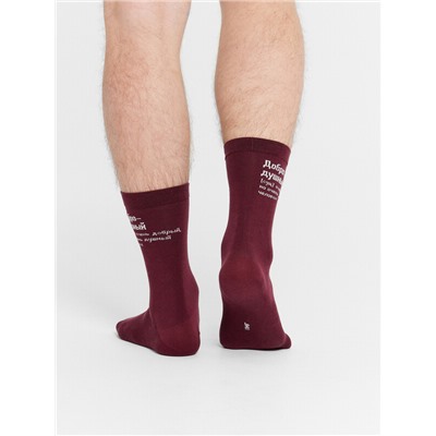 НОСКИ МУЖСКИЕ 017K-2488