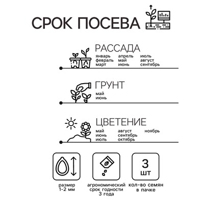 Семена комнатных цветов Пеларгония "Горизонт Пьюр Вайт", ц/п,  3 шт